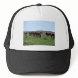Herd of Horses - Logan County, Kansas Trucker Hats