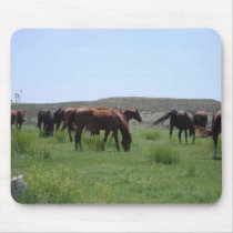 Herd of Horses - Logan County, Kansas mousepads