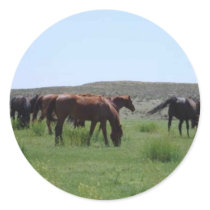 Herd of Horses - Logan County, Kansas stickers