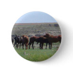 Herd of Horses & Prairie Dog - Logan County KS Buttons