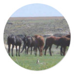 Herd of Horses & Prairie Dog - Logan County KS Round Sticker