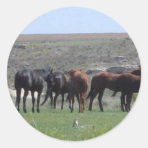 Herd of Horses & Prairie Dog - Logan County KS Round Sticker