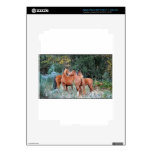 Herd of Horses Skin For iPad 3