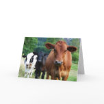 Herd You Weren't Feeling Well cards