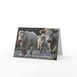 Herd you're having a birthday! greeting cards