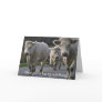 Herd you're having a birthday! greeting cards