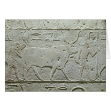 Herdsman leading a bull greeting card