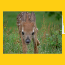 Here Comes Bambi Card cards