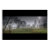 fog, myst, kelpie, contrejour, light, sun,