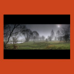 fog, myst, kelpie, contrejour, light, sun,