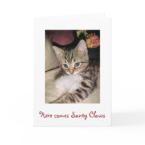 Here comes Santy Claws cards by disgustedcats Here comes Santy Claws cards