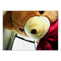 Here Comes Teddy cards