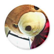 Here Comes Teddy magnets