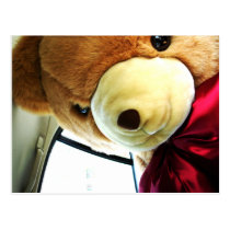 Here Comes Teddy postcards