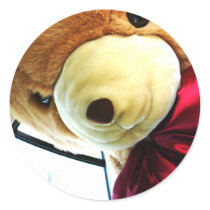 Here Comes Teddy stickers