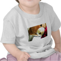 Here Comes Teddy t-shirts