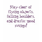 ladies_fitted_babydoll - Nice gift for brides and their bridesmaids.