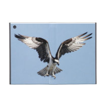 Here Comes the Sea Hawk! powis icase