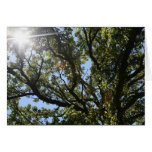"here comes the sun" by Larry Coressel Cards
