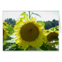 Here Comes the Sun--Card