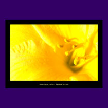 Here Comes the Sun, photo print