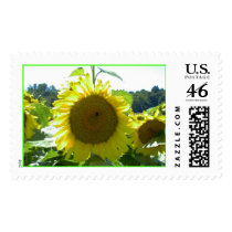 Here Comes the Sun--Stamp by alan_pease Here Comes the Sun--Stamp