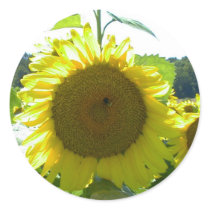 Here Comes the Sun-Sticker