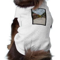 Here pet clothing by thedustyphoenix Here pet clothing