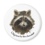 Here for the Chocolate, Cute Raccoon, Animal Magnets