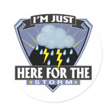 Here for the Storm Stickers