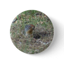 Here I am buttons