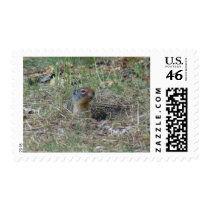 Here I am postage