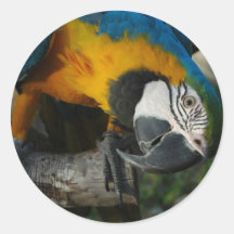 here is looking at you sticker
