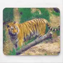 Here Kitty Kitty mousepads