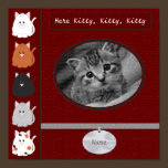 Here Kitty Scrapbook Page posters