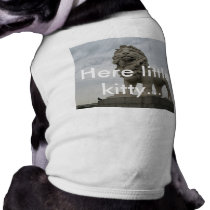 Here Little Kitty pet clothing