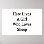 Here Lives A Girl Who Loves Sheep Poster