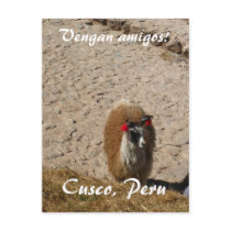Here llama llama postcards
