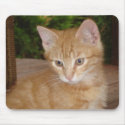 Here, Mousey, Mousey! mousepads by Jack_of_Arts Here, Mousey, Mousey! mousepads