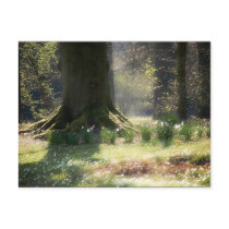Here there be Faeries Postcard by SabineSt Here there be Faeries Postcard