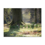 Here there be Faeries Postcard