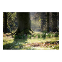 Here there be Faeries Poster posters by SabineSt Here there be Faeries Poster posters