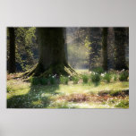 Here there be Faeries Poster