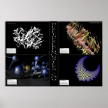 Here there Be monsters 4 pack posters