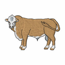 Hereford Bull