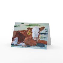 Hereford Calf Greeting Cards