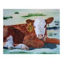 Hereford Calf posters by mozache Hereford Calf posters