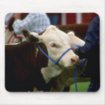 Hereford Cattle Mouse Pads