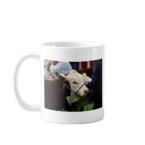 Hereford Cattle Coffee Mug