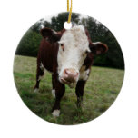 Hereford Cow Sticking out Tongue Christmas Tree Ornaments